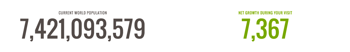 wordpress-site-design-features